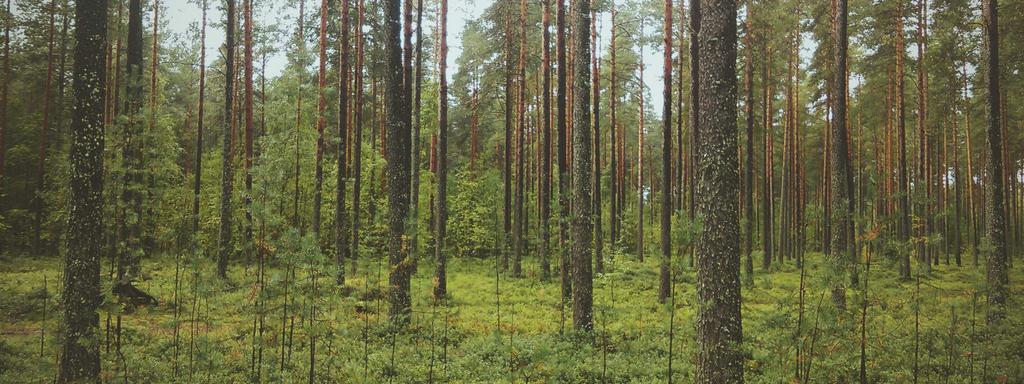 Foto di copertina