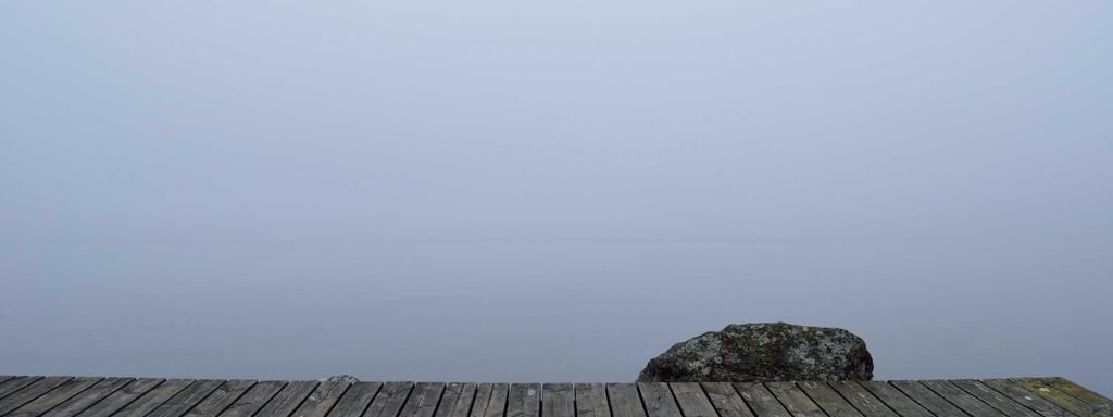Foto di copertina